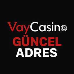 Vaycasino Logo